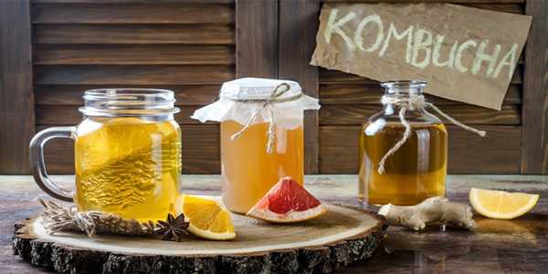 Why Is Kombucha Good For You